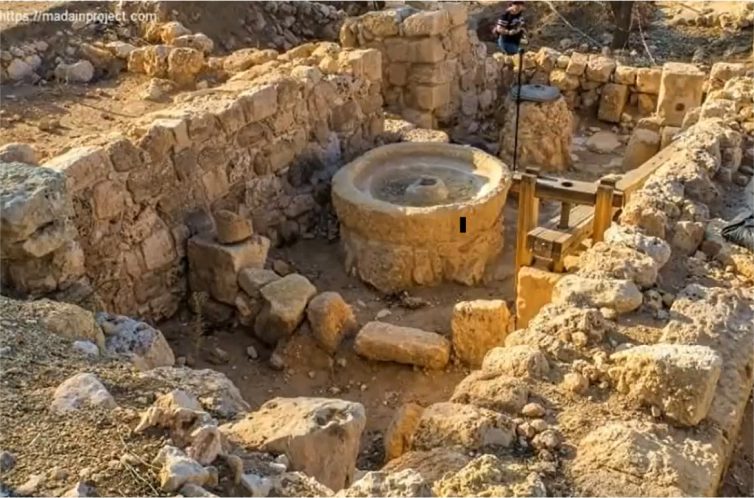 Ancient Shilo Digging